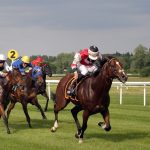 apuestas en carreras