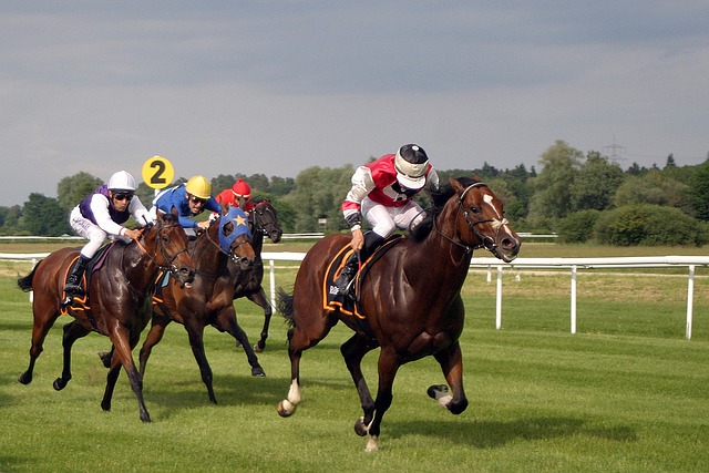 Consideraciones legales y éticas en las apuestas de carreras de caballos